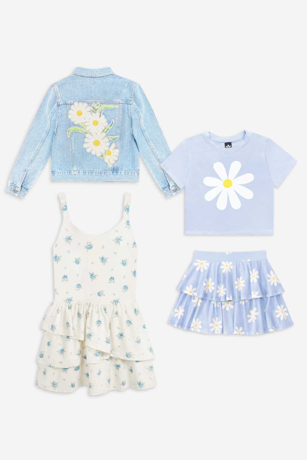 4 Pack Daisy Bloom Dreams
